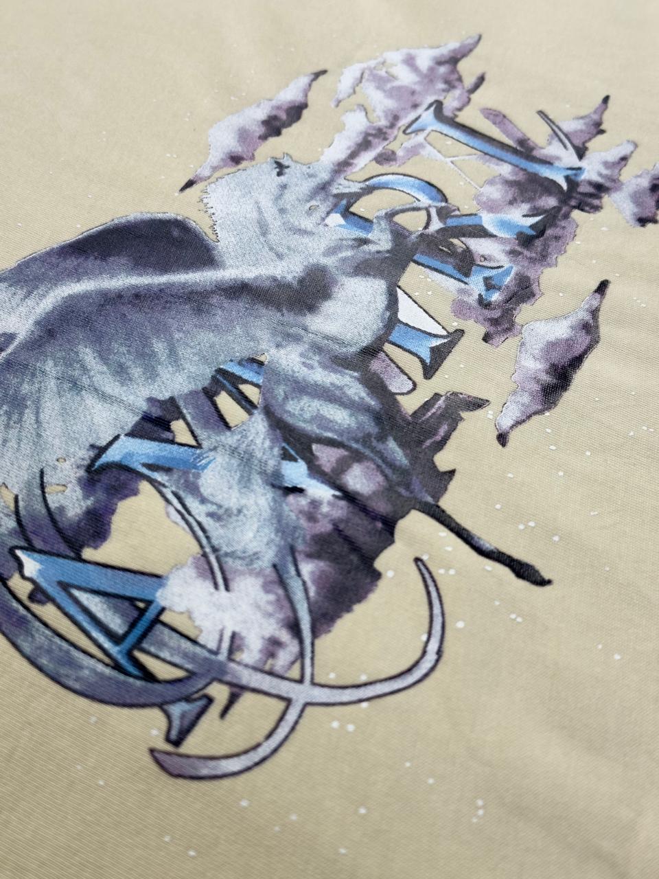 Camiseta Oversize AMIRI #14