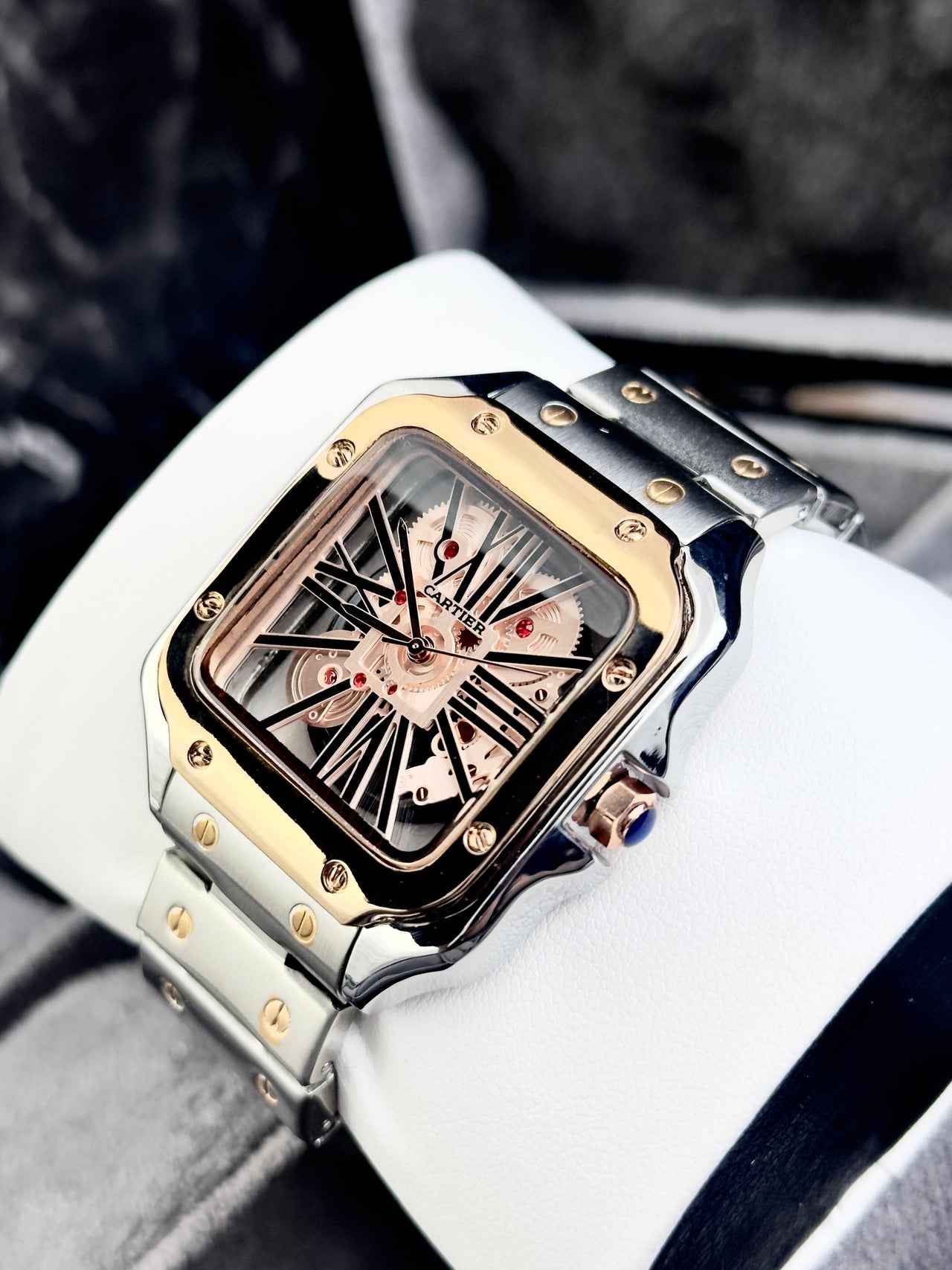 Cartier ESQUELETO CEQ6