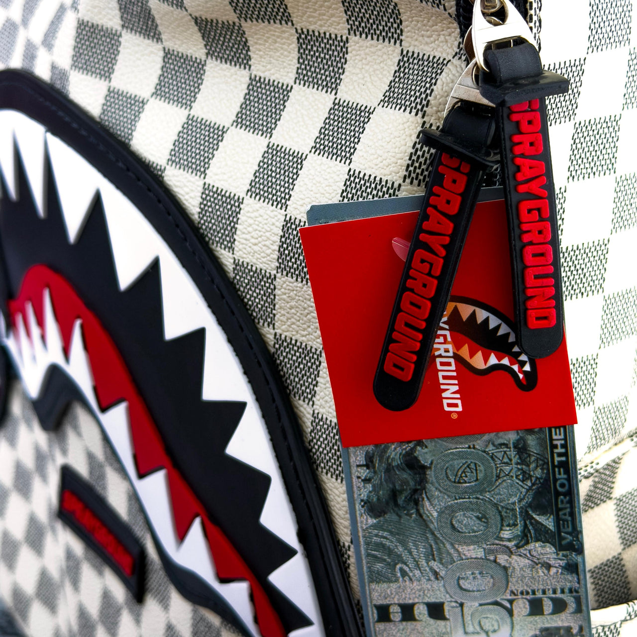 Morral SPRAYGROUND #10