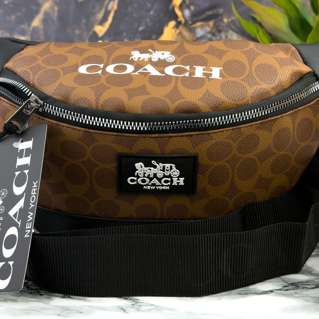 Canguro COACH #2