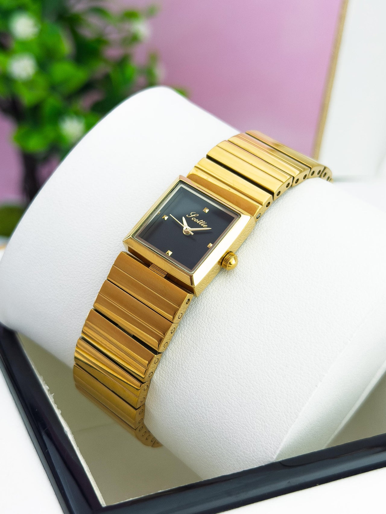 Scottie Dama SOTT67
