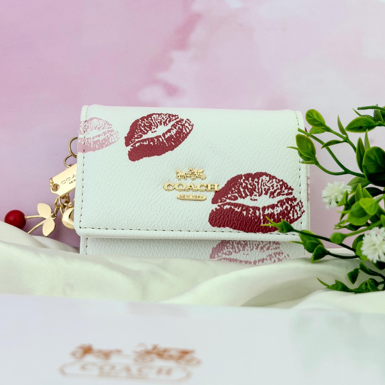 Billetera Coach 21