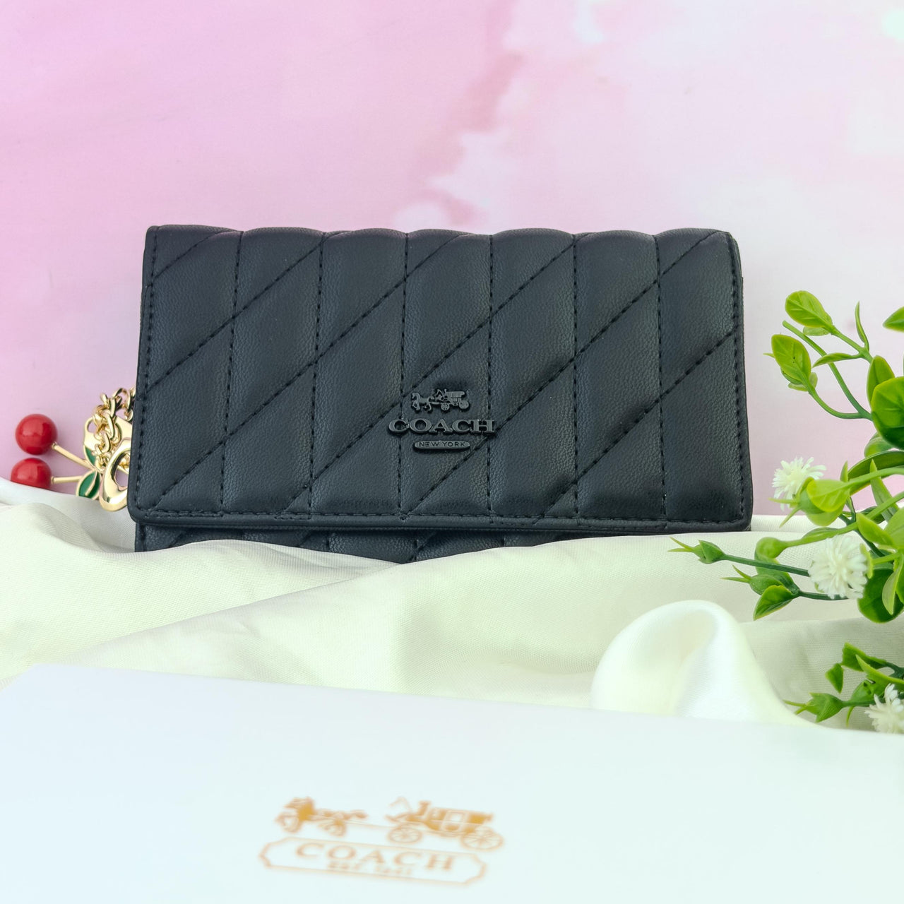 Billetera Coach 12