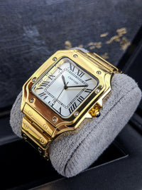 Thumbnail for Cartier dos santos CM19