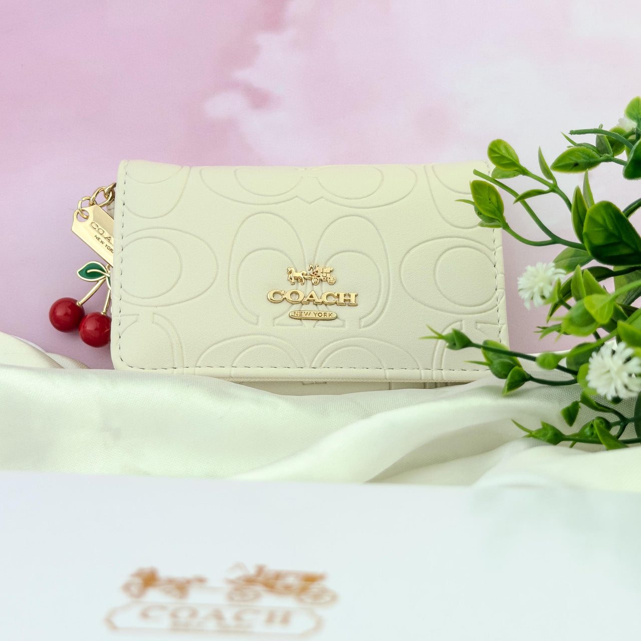 Billetera Coach 22