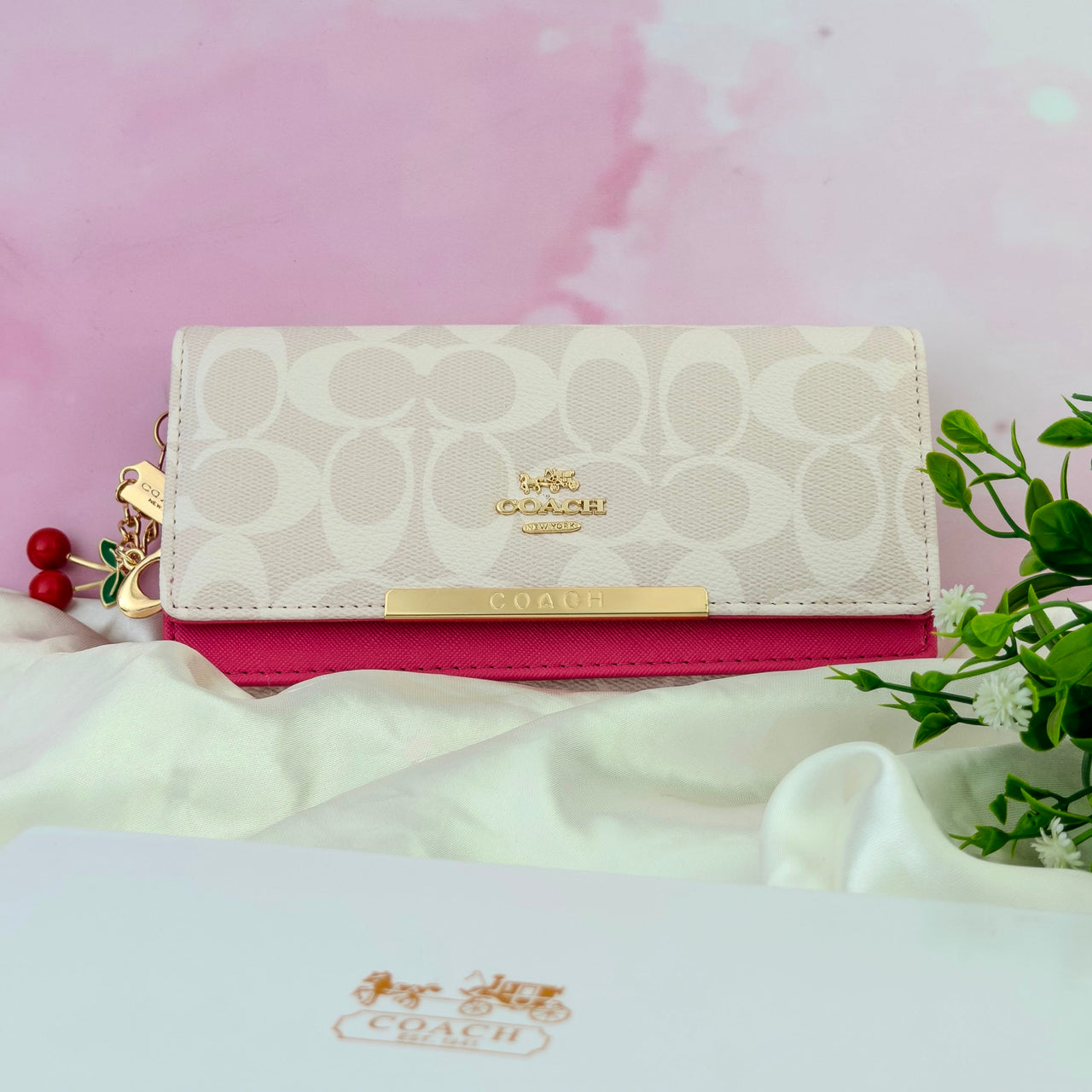 Billetera Coach 10