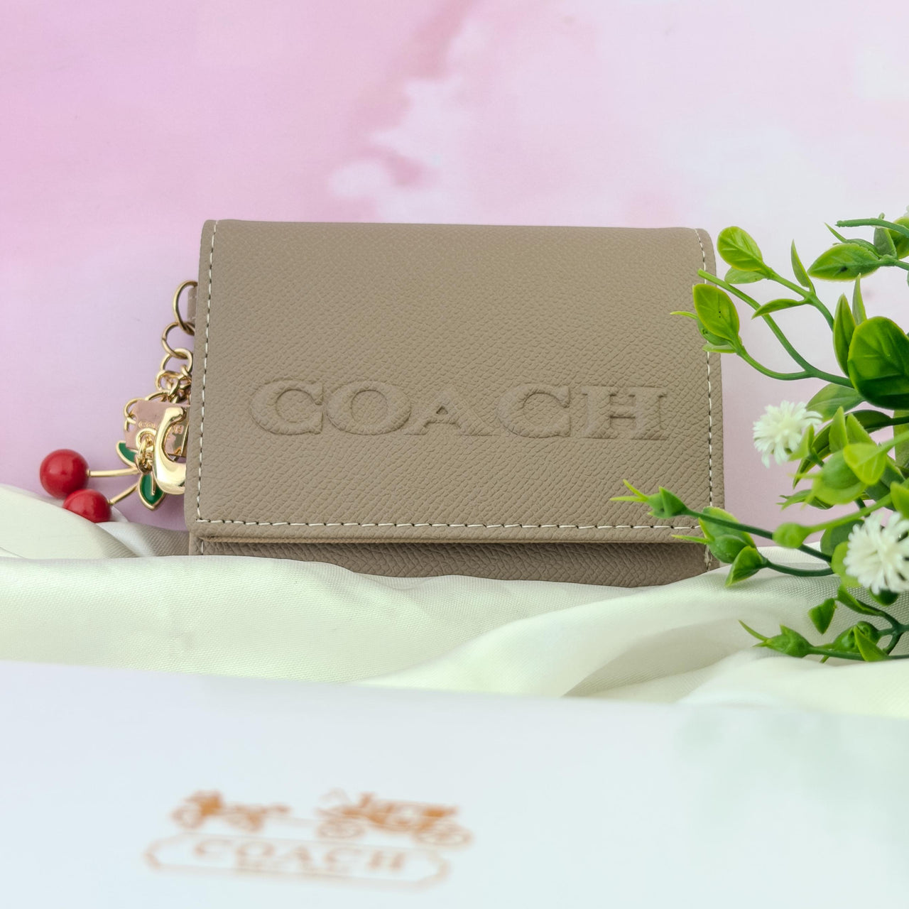 Billetera Coach 13