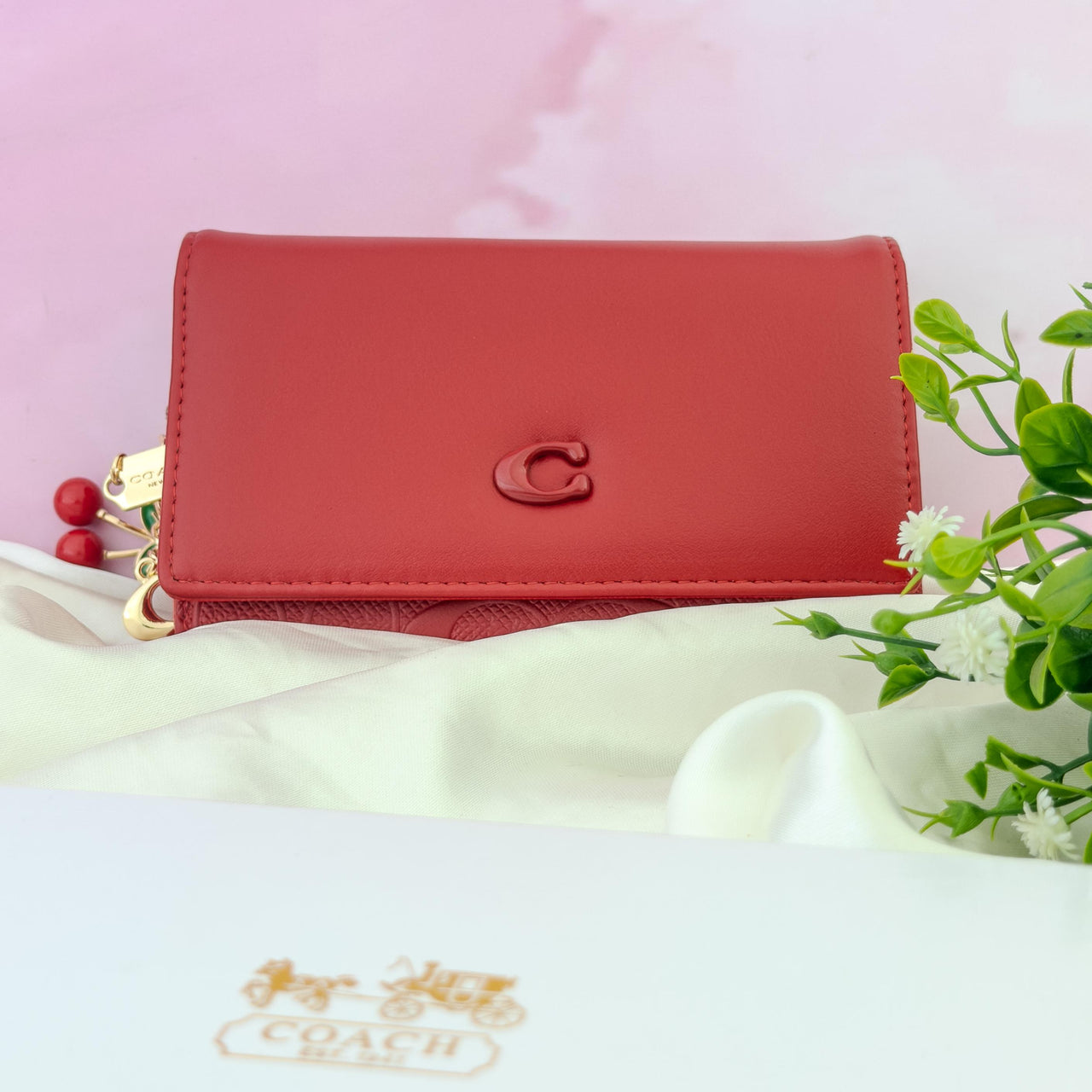Billetera Coach 11
